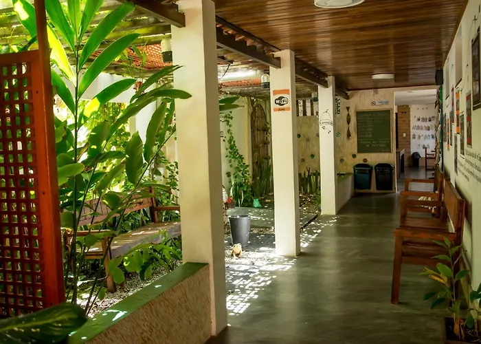 Casa do Sertão - Vila Aju Aracaju